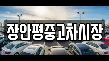 서울특별시 용산구 갈월동 중고차 전문 장안평중고차시장