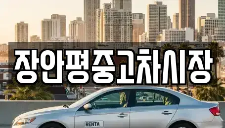 서울특별시 용산구 신창동 중고차 전문 장안평중고차시장