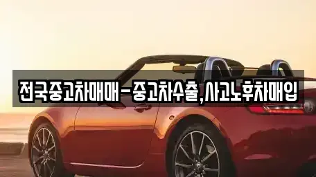 서울특별시 용산구 신창동 중고차 전문 전국중고차매매-중고차수출,사고노후차매입