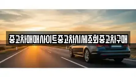 서울특별시 용산구 신창동 중고차 전문 중고차매매사이트중고차시세조회중고차구매