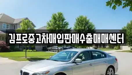 서울특별시 용산구 신창동 중고차매입 전문 김프로중고차매입판매수출매매센터