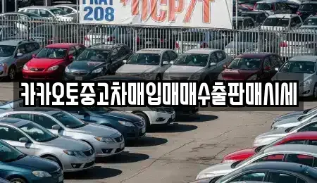 서울특별시 용산구 신창동 중고차매입 전문 카카오토중고차매입매매수출판매시세