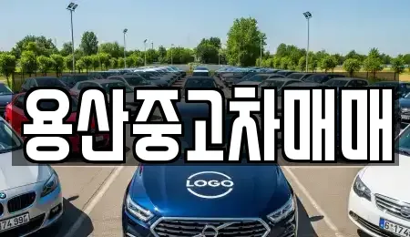 서울특별시 용산구 청파동3가 중고차 전문 용산중고차매매
