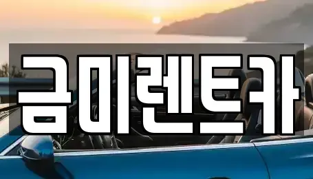 서울특별시 종로구 부암동 렌트카 전문 금미렌트카