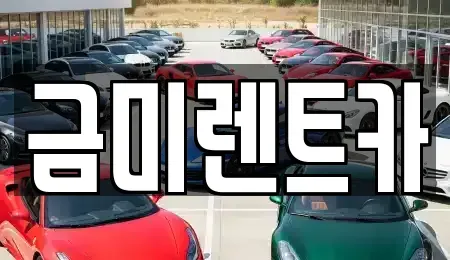 서울특별시 종로구 서린동 렌트카 전문 금미렌트카