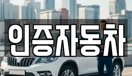 서울특별시 종로구 서린동 중고차매매 전문 인증자동차