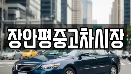 서울특별시 종로구 서린동 중고차매매 전문 장안평중고차시장