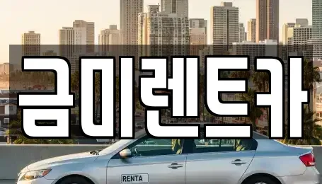 서울특별시 종로구 안국동 렌트카 전문 금미렌트카