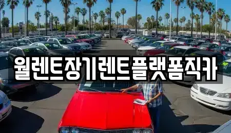 서울특별시 종로구 안국동 렌트카 전문 월렌트장기렌트플랫폼직카