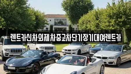 서울특별시 종로구 안국동 장기렌트카 전문 렌트카신차외제차중고차단기장기대여렌트카