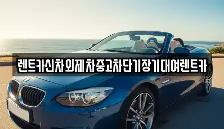 서울특별시 종로구 중학동 렌트카 전문 렌트카신차외제차중고차단기장기대여렌트카