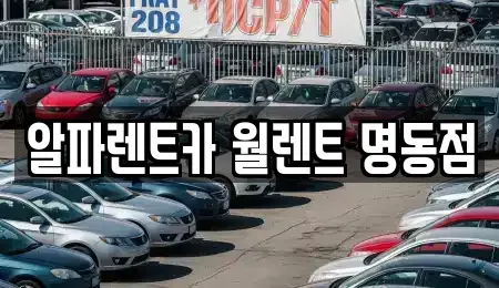 서울특별시 종로구 중학동 렌트카 전문 알파렌트카 월렌트 명동점