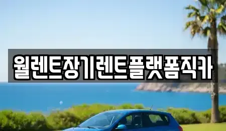 서울특별시 종로구 중학동 장기렌트카 전문 월렌트장기렌트플랫폼직카