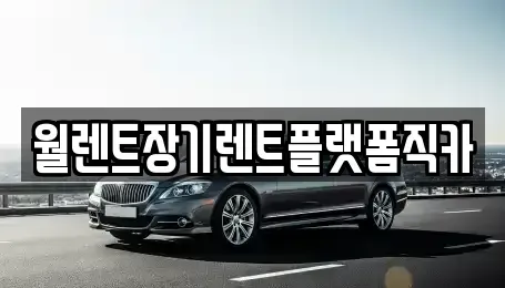 서울특별시 종로구 체부동 렌트카 전문 월렌트장기렌트플랫폼직카