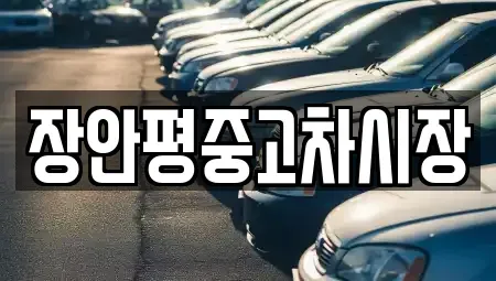 서울특별시 종로구 체부동 중고차 전문 장안평중고차시장