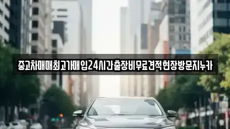 서울특별시 종로구 체부동 중고차 전문 중고차매매최고가매입24시간출장비무료견적현장방문지누카