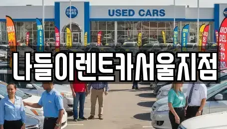 서울특별시 종로구 충신동 렌트카 전문 나들이렌트카서울지점