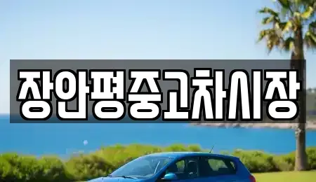 서울특별시 종로구 충신동 중고차 전문 장안평중고차시장