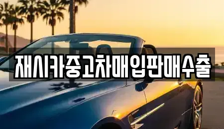 서울특별시 종로구 충신동 중고차매입 전문 재시카중고차매입판매수출