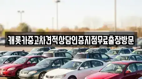 서울특별시 종로구 평창동 중고차매매 전문 캐롯카중고차견적상담인증지점무료출장방문