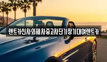 서울특별시 중구 남대문로1가 렌트카 전문 렌트카신차외제차중고차단기장기대여렌트카
