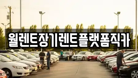 서울특별시 중구 남대문로1가 렌트카 전문 월렌트장기렌트플랫폼직카