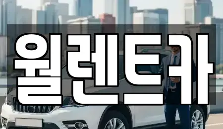 서울특별시 중구 남대문로1가 렌트카 전문 월렌트카