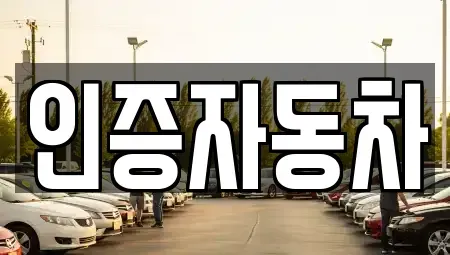 서울특별시 중구 남대문로1가 중고차 전문 인증자동차