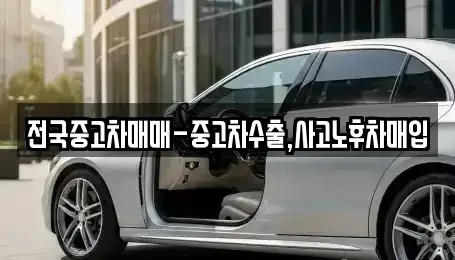 서울특별시 중구 남대문로1가 중고차 전문 전국중고차매매-중고차수출,사고노후차매입
