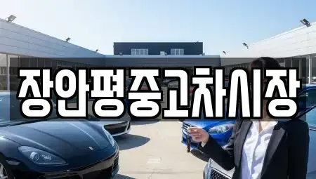 서울특별시 중구 남학동 중고차 전문 장안평중고차시장