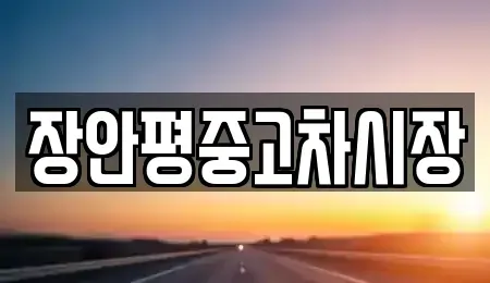 서울특별시 중구 다동 중고차매매 전문 장안평중고차시장