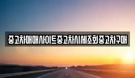 서울특별시 중구 다동 중고차매매 전문 중고차매매사이트중고차시세조회중고차구매