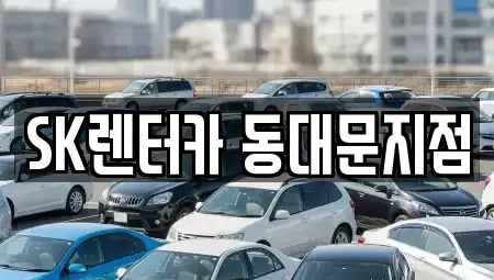 서울특별시 중구 무학동 렌트카 전문 SK렌터카 동대문지점