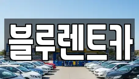 서울특별시 중구 무학동 렌트카 전문 블루렌트카