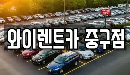 서울특별시 중구 무학동 렌트카 전문 와이렌트카 중구점