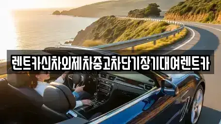 서울특별시 중구 무학동 장기렌트카 전문 렌트카신차외제차중고차단기장기대여렌트카