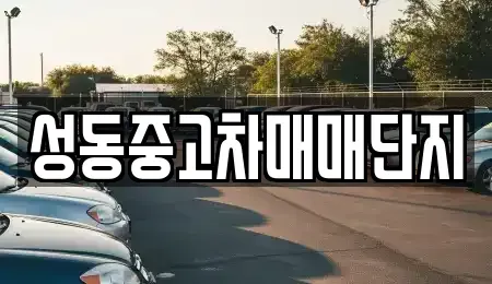 서울특별시 중구 무학동 중고차 전문 성동중고차매매단지
