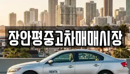 서울특별시 중구 무학동 중고차매매 전문 장안평중고차매매시장