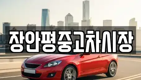 서울특별시 중구 무학동 중고차매매 전문 장안평중고차시장