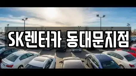 서울특별시 중구 묵정동 렌트카 전문 SK렌터카 동대문지점