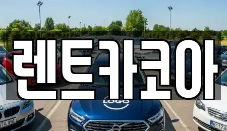 서울특별시 중구 묵정동 렌트카 전문 렌트카코아