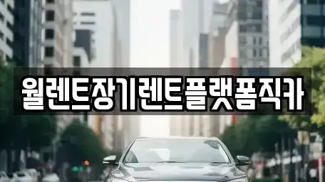 서울특별시 중구 묵정동 장기렌트카 전문 월렌트장기렌트플랫폼직카