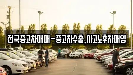서울특별시 중구 묵정동 중고차,렌트카,중고차매입,중고차매매,장기렌트카,단기렌트카