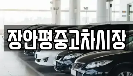 서울특별시 중구 묵정동 중고차매매 전문 장안평중고차시장