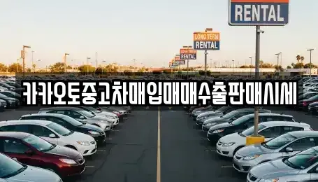 서울특별시 중구 묵정동 중고차매입 전문 카카오토중고차매입매매수출판매시세
