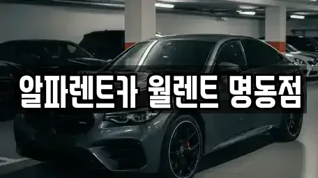 서울특별시 중구 수표동 렌트카 전문 알파렌트카 월렌트 명동점