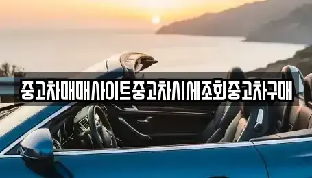 서울특별시 중구 수표동 중고차 전문 중고차매매사이트중고차시세조회중고차구매