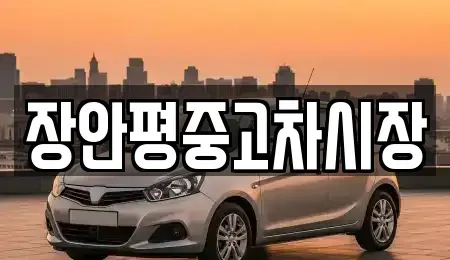 서울특별시 중구 수표동 중고차매매 전문 장안평중고차시장