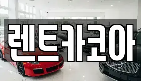서울특별시 중구 을지로1가 렌트카 전문 렌트카코아