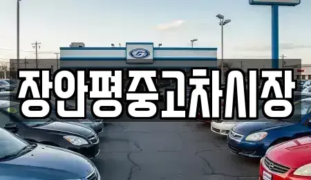 서울특별시 중구 을지로1가 중고차 전문 장안평중고차시장